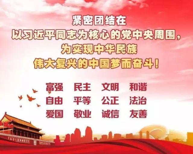 太阳花发芽了为什么长不大游戏画面